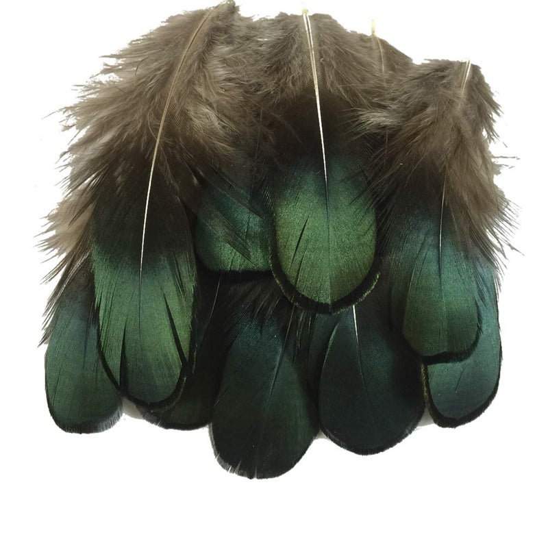 Sowder 50pcs Green Pheasant Plumage Feathers 1.5-3 Inches Home Wedding Decoration - Image 1